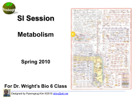 SI Powerpoint: Control of Metabolism