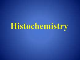 Histochemistry