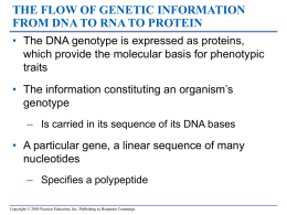 Topic 10 (From Genotype to Phenotype)