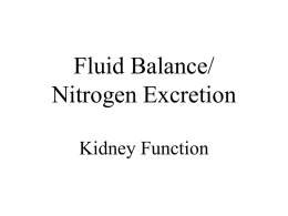 Fluid Balance/ Nitrogen Excretion