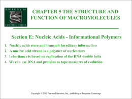 05E-NucleicAcids
