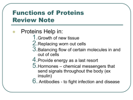 Protein Sources and Vegetarianism