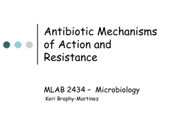 Chapter 16 - Enterobacteriaceae