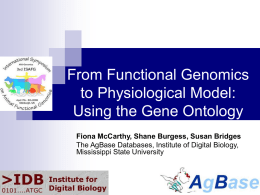 From Functional Genomics to Physiological Model: the