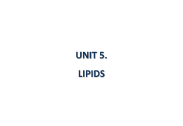 5.6. membrane lipids