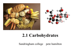 2.1 Carbohydrates - SandyBiology1-2