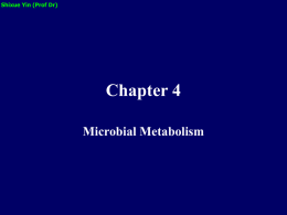 Chapter 4 Microbial Metabolism