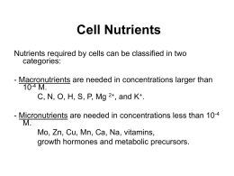 lecture notes-cell nutrients