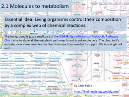 Molecule-Metabolism ppt