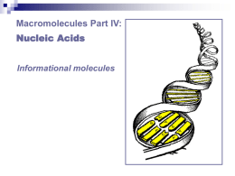 Nucleic Acids 2135KB Oct 07 2015 03:14:13 PM