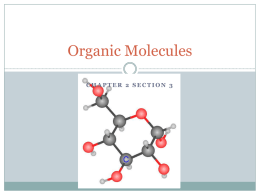 Organic Molecules
