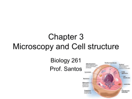 Bio-261-chapter-3
