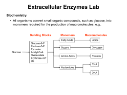 Extracellular Enzymes Lab