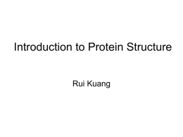 Introduction to Protein Structure and Its Prediction