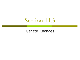 Section 11.3