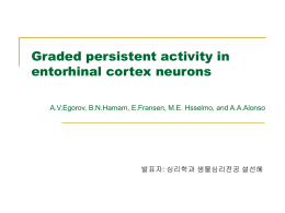 Graded persistent activity in entorhinal cortex neurons