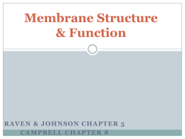 AP Biology - Membrane Structure