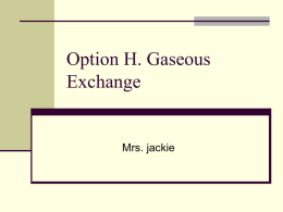 Option H. Gaseous Exchange