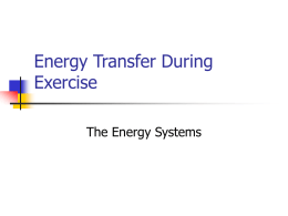 ppt Oxygen Debt-Energy Systems - NCEA-Physical