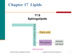 6. Sphingolipids