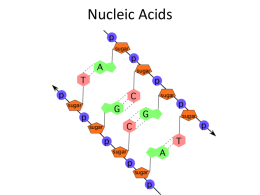 Nucleic Acids - Cloudfront.net
