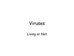 Viruses - Granbury ISD