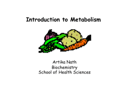 Introduction to Metabolism - Louisiana Tech University