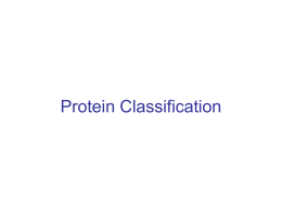 CS273_ProteinClassification2