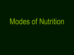 modes of nutrition & Ecosystems