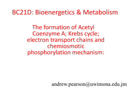 BC21D: Bioenergetics & Metabolism