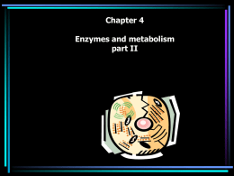 Chapter-4 part-2 Energy Metabolism