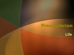 PreCambrian Life