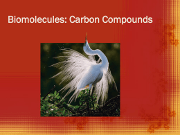 Carbon Compounds 2-3 Foldable Instructions