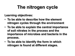 nitrogen_cycle