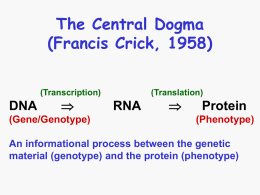 (Francis Crick, 1958) (Transcription) (Translation)