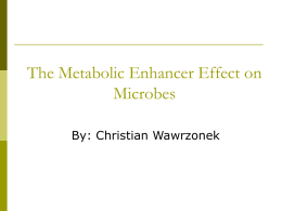 Christian Wawrzonek metabolic enhancer effects on yeast PJAS