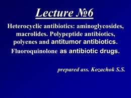 06 Antibiotics of the heterocyclic structure