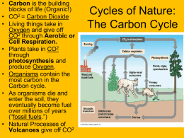 Cycles of Nature - juan
