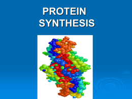 Protein synthesis and mut ppt