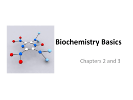 Biochemistry Basics - kyoussef-mci
