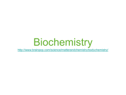 BiologyReferences_files/Biochemistry updated 2012