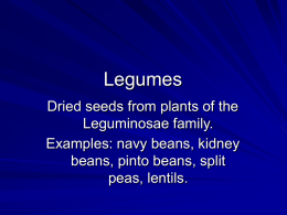 Legumes - Marblehead High School