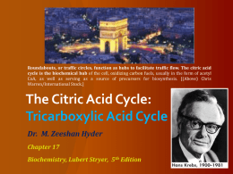 An Overview of the Citric Acid Cycle