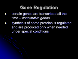 Gene Regulation - Cloudfront.net