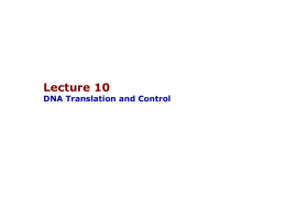 10-DNA-TranslationControl