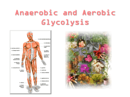 Anaerobic and Aerobic Glycolysis
