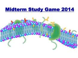 Midterm Study Game 2014