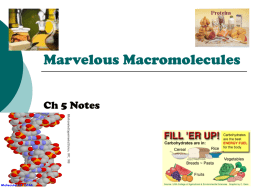 Marvelous Macromolecules