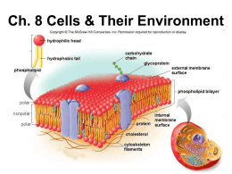 Ch. 8 Cells & Their Environment