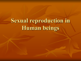 Sexual reproduction in Human beings